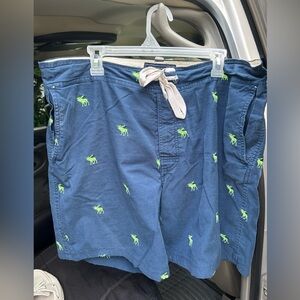 Vintage AF Abercrombie & Fitch Logo Drawstring Shorts EUC L